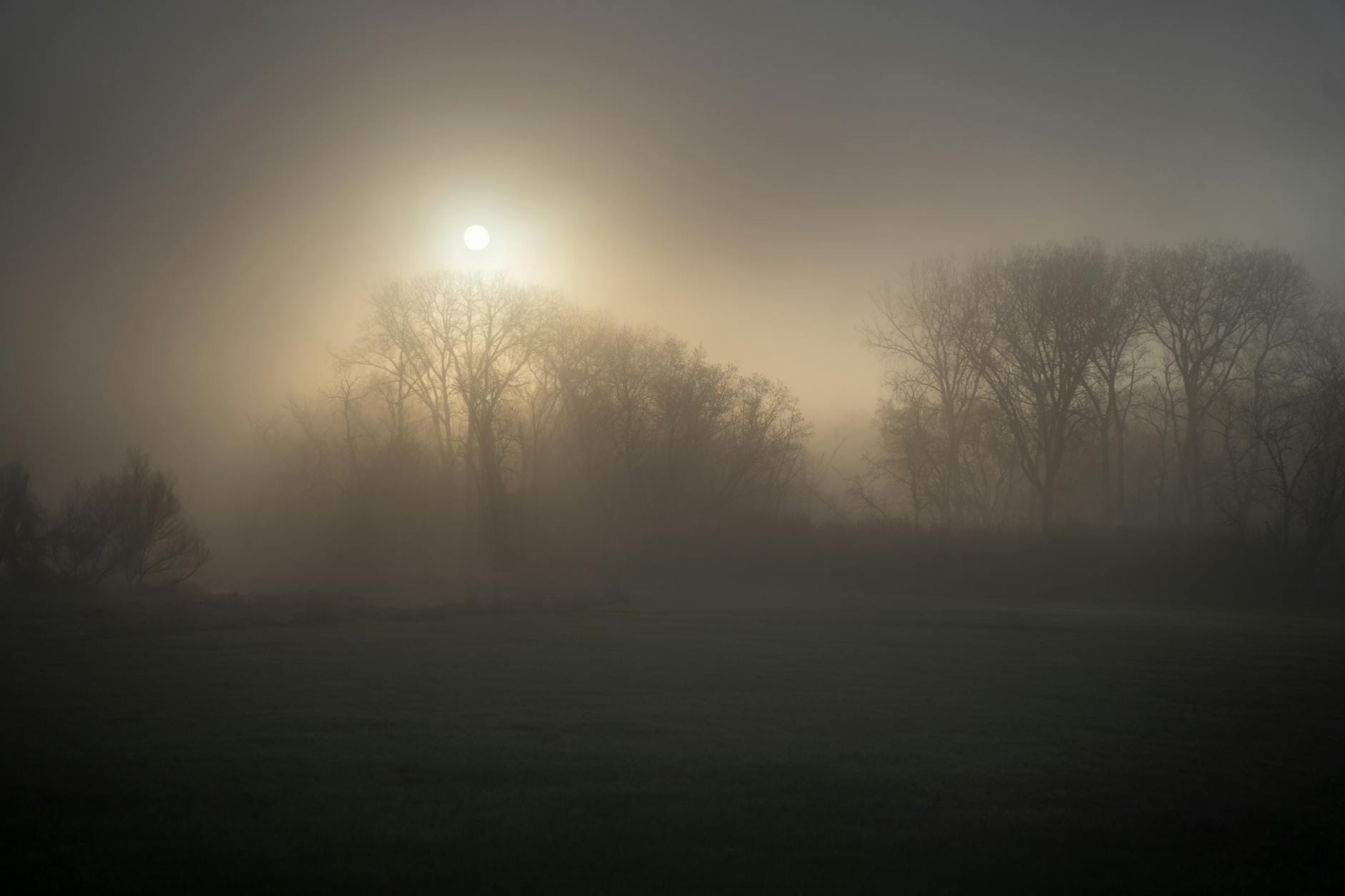 007 Primeiro Luz: um Jogo de Espiões com uma Dose de Hitman