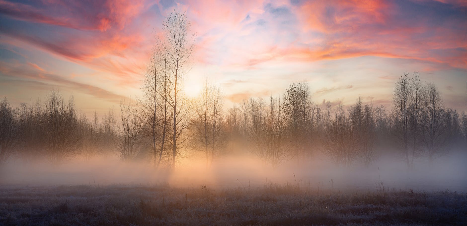 Alabaster Dawn: Uma Aventura Visivelmente Impactante Chega em Maio