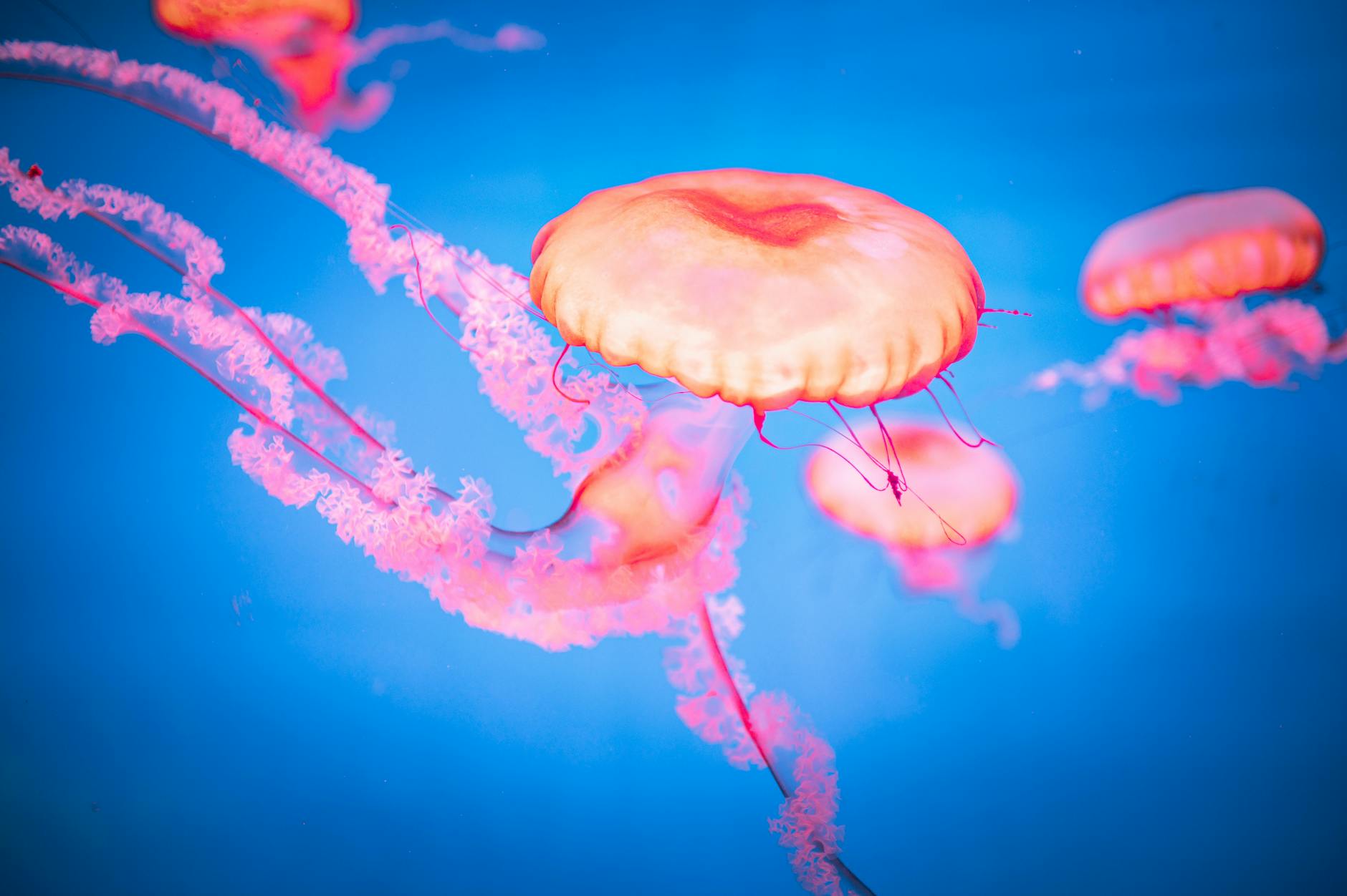 Helldivers 2: Os Exo-Suites Se Transformam em Feras da Batalha!