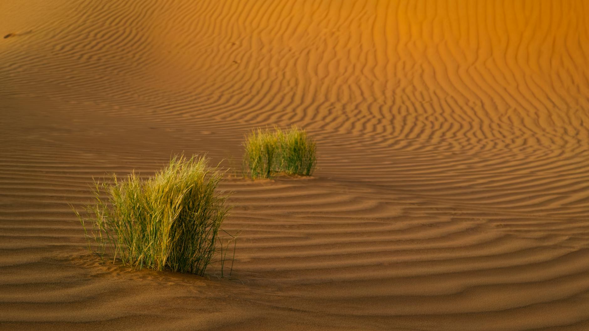 O Deserto Vermelho se Transforma: Atualização Histórica em Crimson Desert