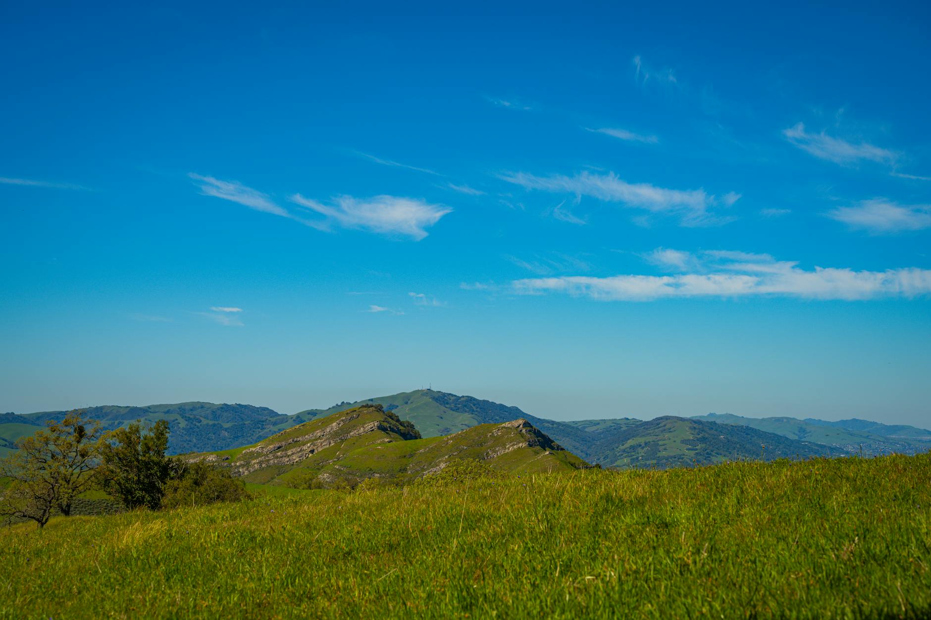 O Diabo Veste Ódio: Um Novo Capítulo no Mundo de Tenebrous
