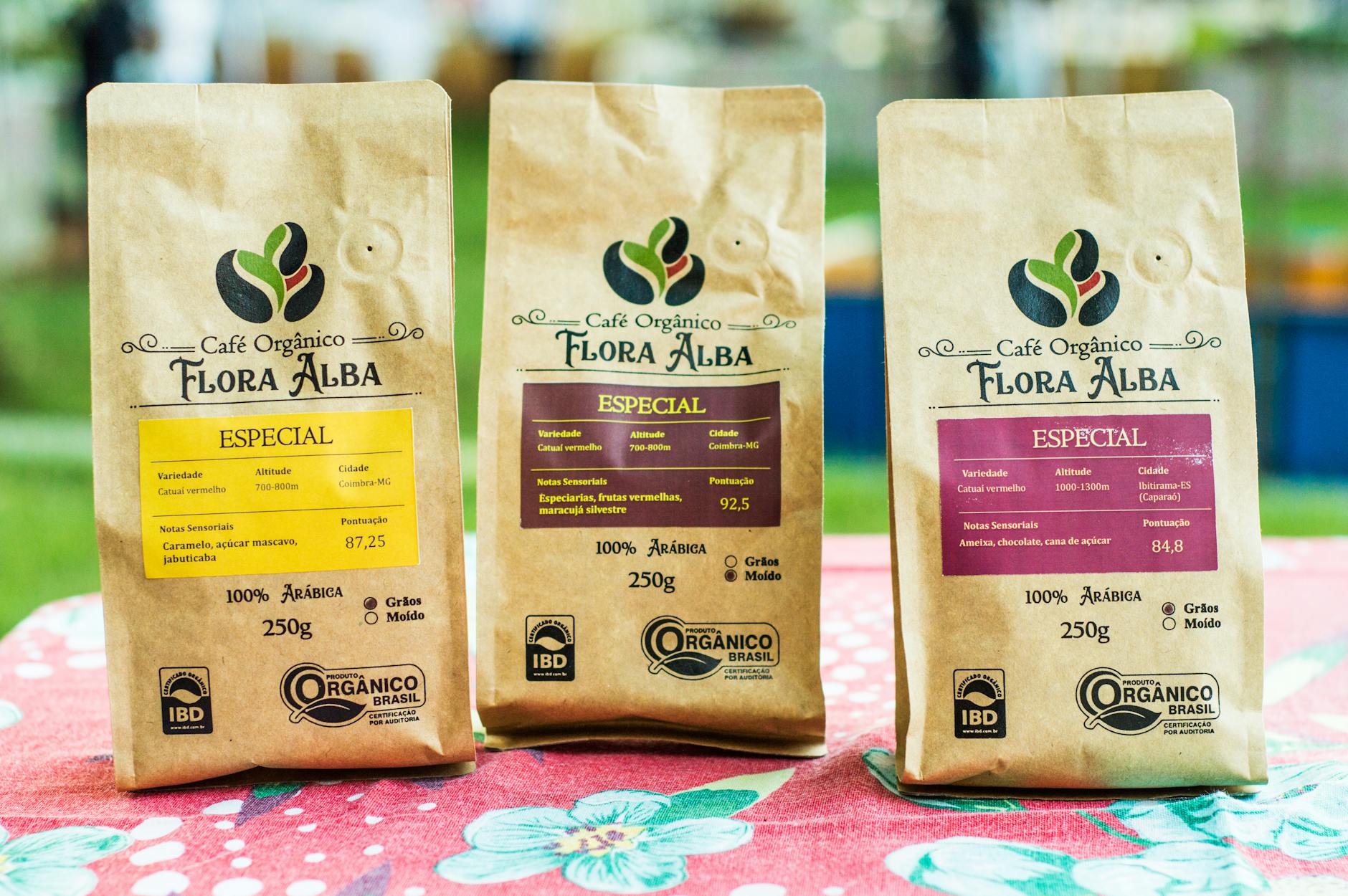 Ubisoft Cancela Jogo Inspirado em Animal Crossing: Alterra é Derrubado!