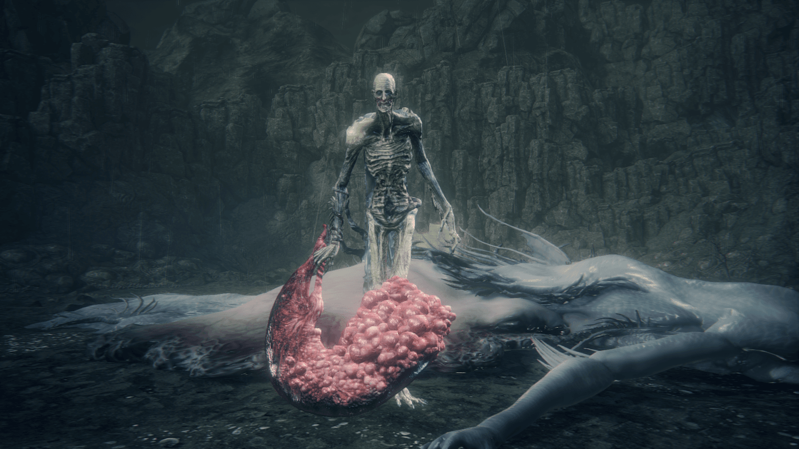 5 Anos de Dedicação a Bloodborne! Jogador Desiste de Ajuda após Orphan of Kos Sobrar