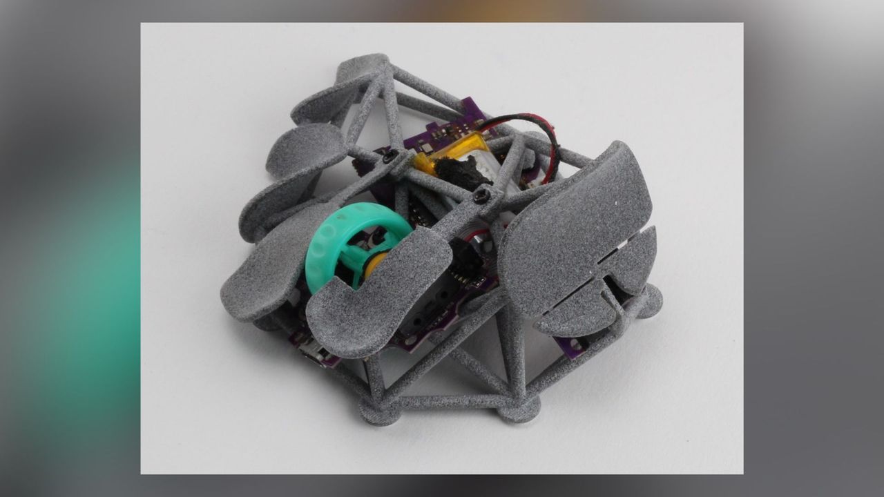 Mouse Bicho: É Possível Construir Sua Própria Versão