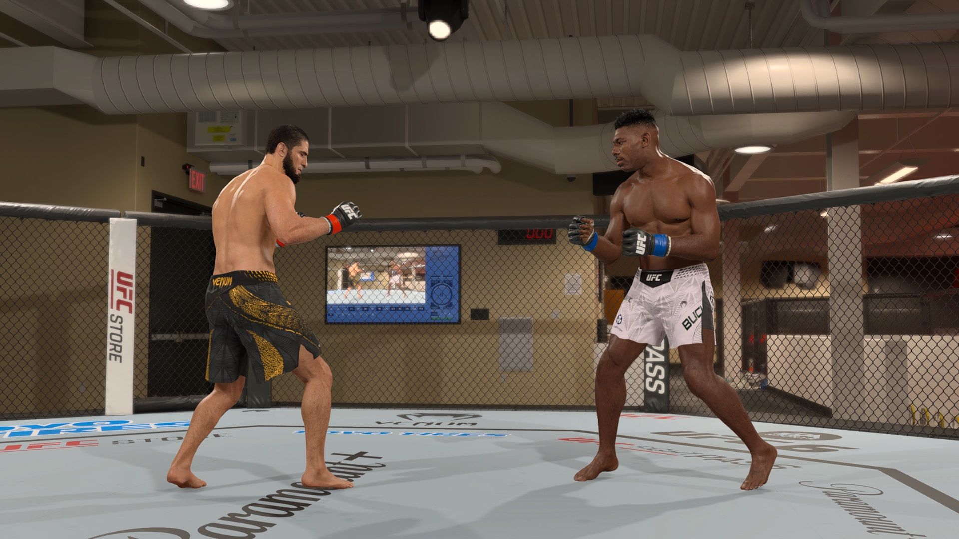 Superando os Oponentes: Dicas de Takedowns no UFC 6