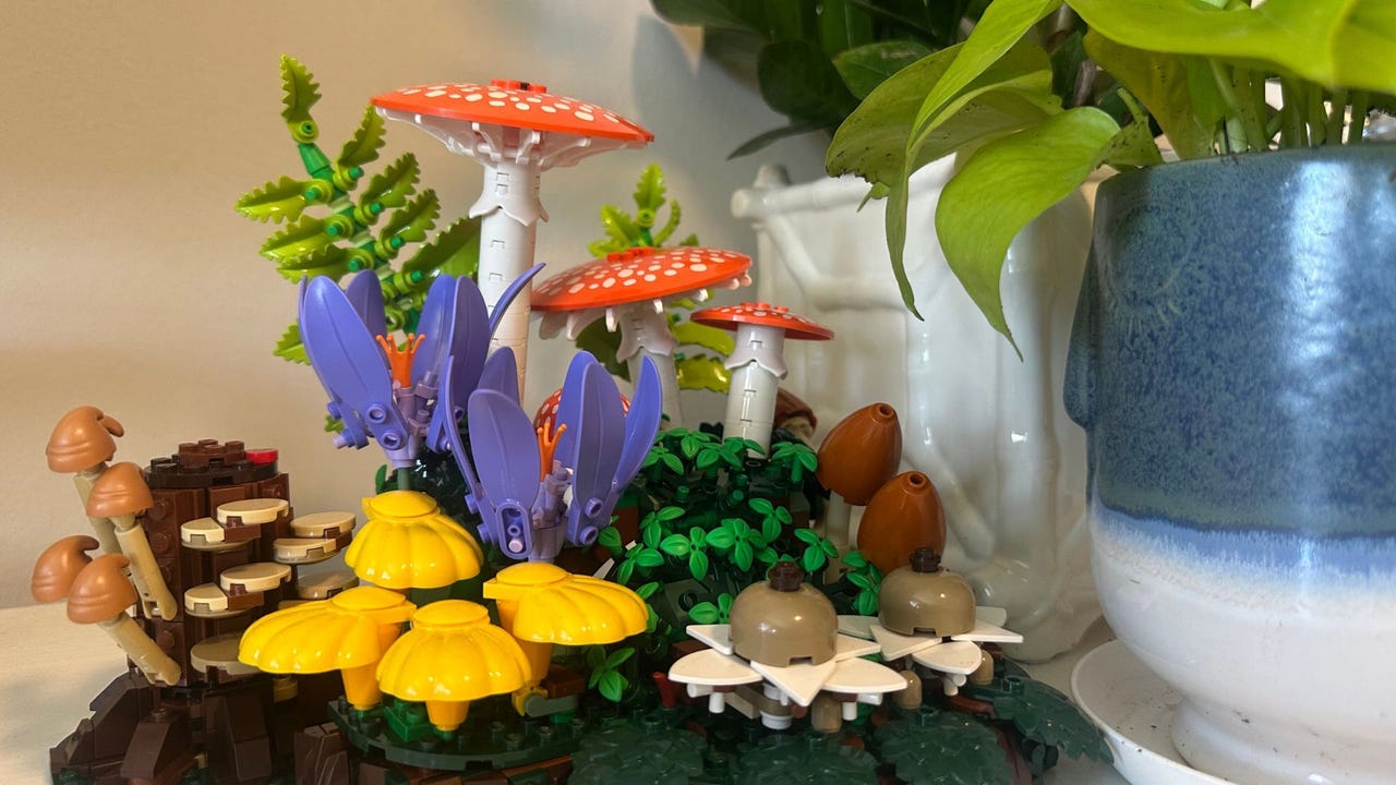 LEGOS Desenvolve Conjunto de Fungos em Madeira!