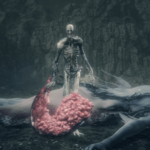 5 Anos de Dedicação a Bloodborne! Jogador Desiste de Ajuda após Orphan of Kos Sobrar