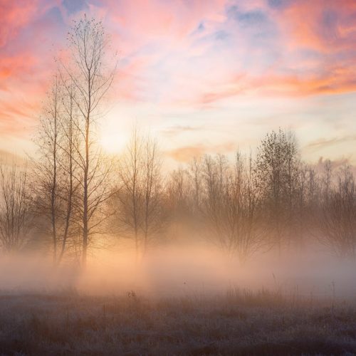 Alabaster Dawn: Uma Aventura Visivelmente Impactante Chega em Maio