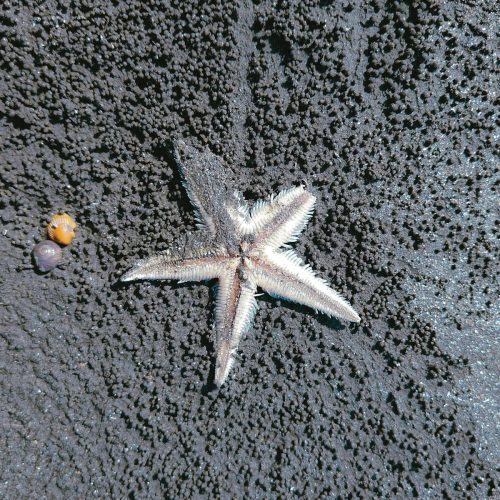 Charlie Cox Revela que Não É um Gamer Natural no Exclusivo Expedition 33