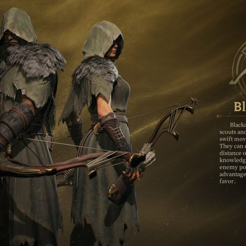 Construa o Blackarrow perfeito para PVP e PVE em Mistfall Hunter