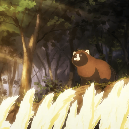Descubra o Segredo do Tanuki: Anime de Would You like to Be a Tanuki?