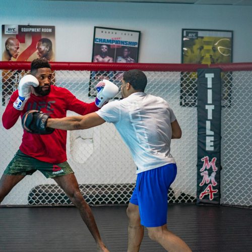 Desvendado! EA Sports UFC 6 chega com Modo Legacy e Hall da Fama!