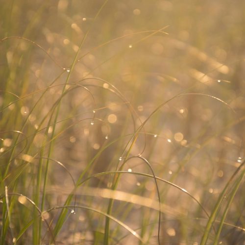 Diablo 4 Está de Volta com um Recurso Clássico que os Fãs Pediram por Tempo