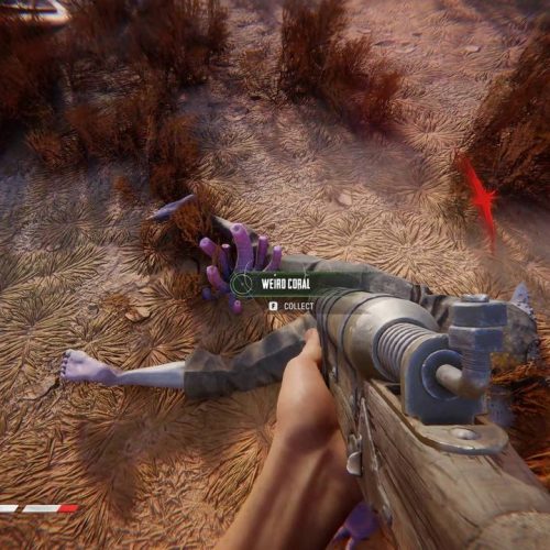 Encontre Chunks de Coral e Coral Estranho em Sand Raiders de Sophie