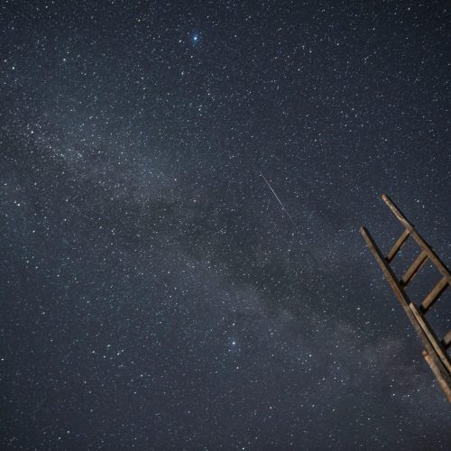 Fim de Linha para Star Trek: Resurgence – Uma Aventura que Não Sobreviveu ao Tempo