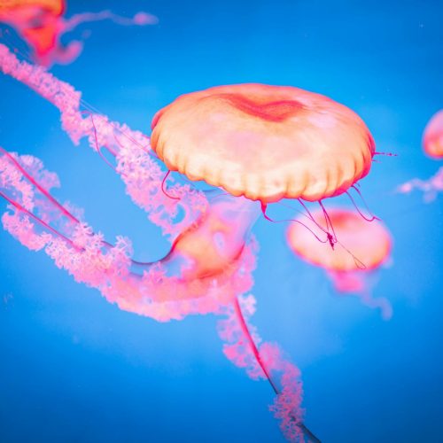 Helldivers 2: Os Exo-Suites Se Transformam em Feras da Batalha!