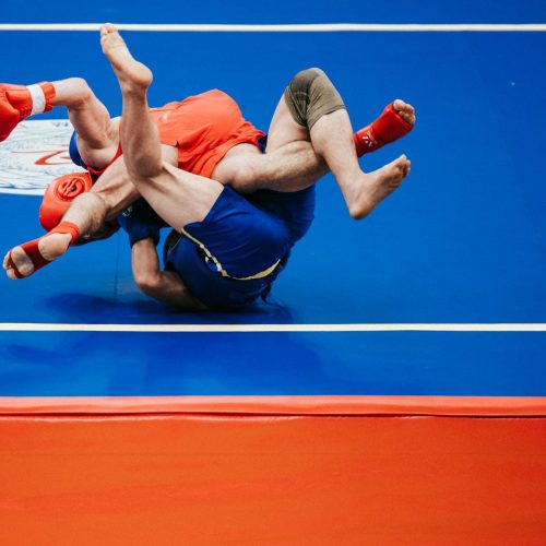 Invincible VS: um Desafio que Vai Puxar o seu Cordão de Força!