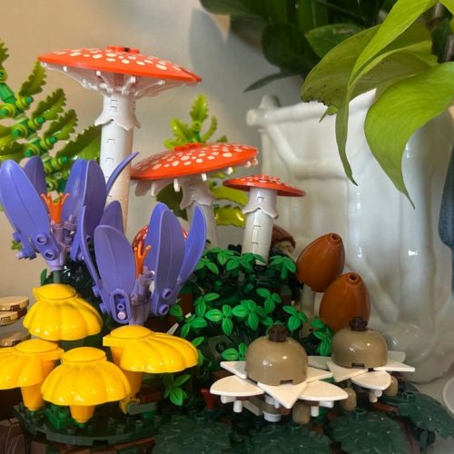 LEGOS Desenvolve Conjunto de Fungos em Madeira!