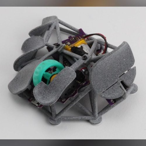 Mouse Bicho: É Possível Construir Sua Própria Versão