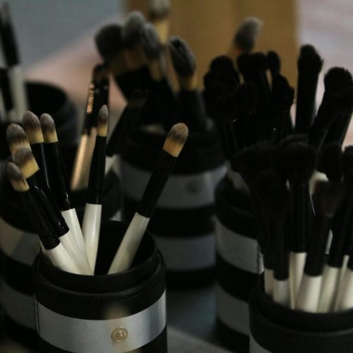 O Desafio do Gato Incomodativo que está Tocando o Brasil