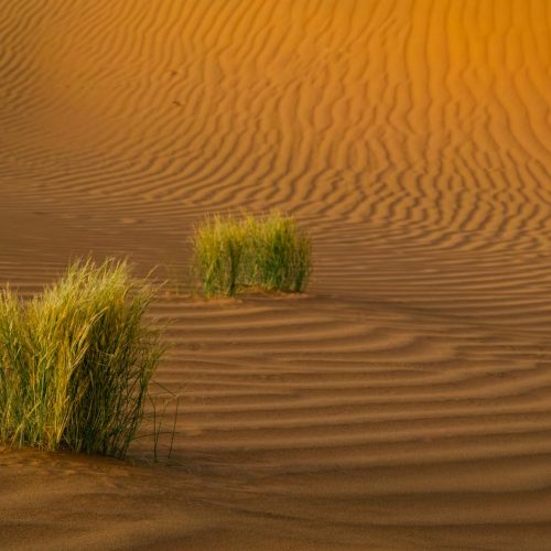 O Deserto Vermelho se Transforma: Atualização Histórica em Crimson Desert