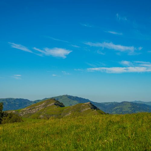 O Diabo Veste Ódio: Um Novo Capítulo no Mundo de Tenebrous