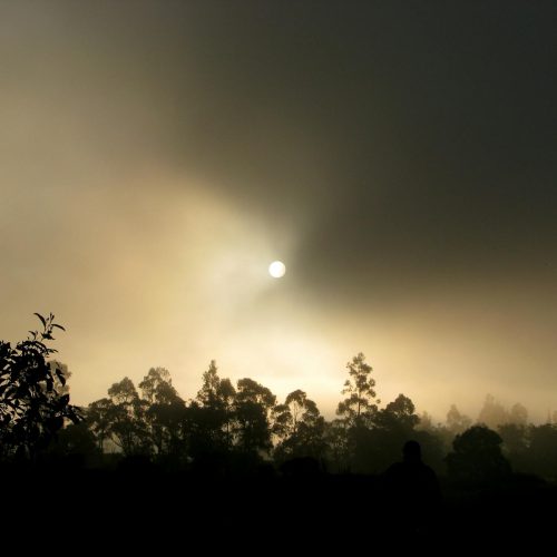 Patrick Gibson, o futuro Bond? Ator é elogiado por Lennie James em 007: First Light