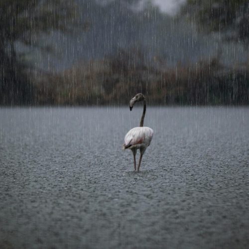 Roblox Pagará R$ 60 Milhões para Criar Um Meio Ambiente Mais Seguro para Crianças Online