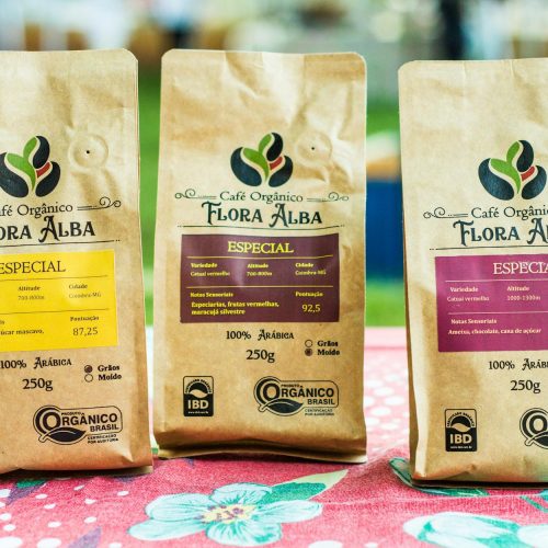 Ubisoft Cancela Jogo Inspirado em Animal Crossing: Alterra é Derrubado!