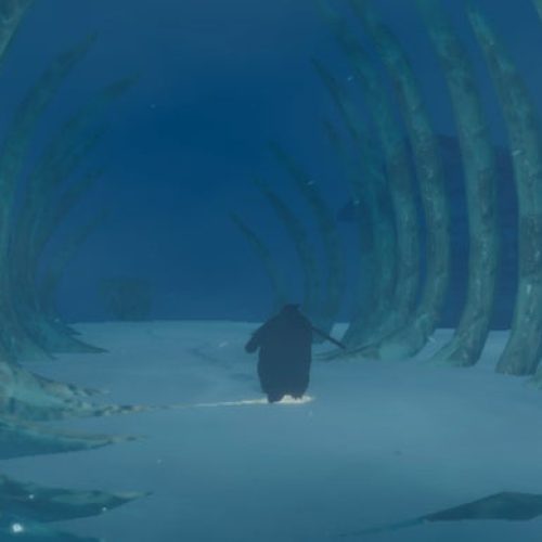 Vida solitária de pinguim em jogo: um mistério inquietante